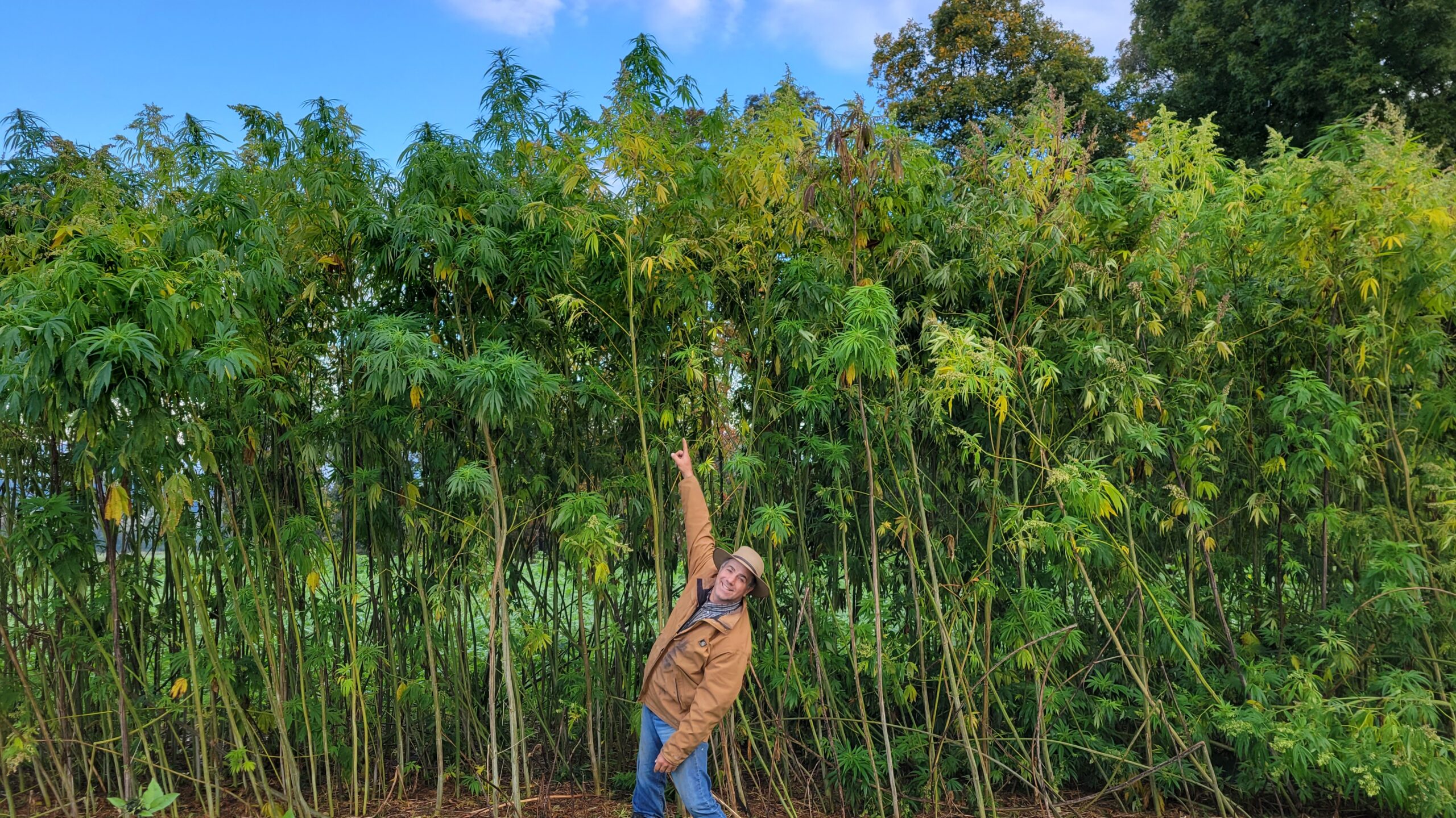 PA hemp entrepreneur Steve Groff in hemp field