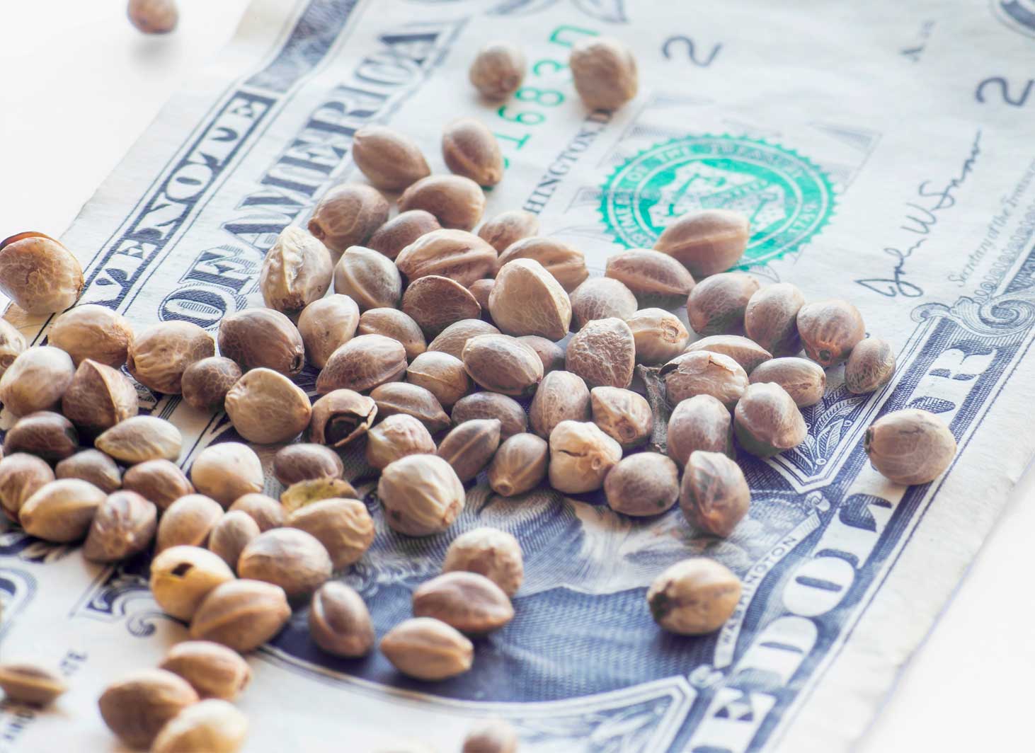hemp-makes-dollars-and-cents-web hemp-value-proposition