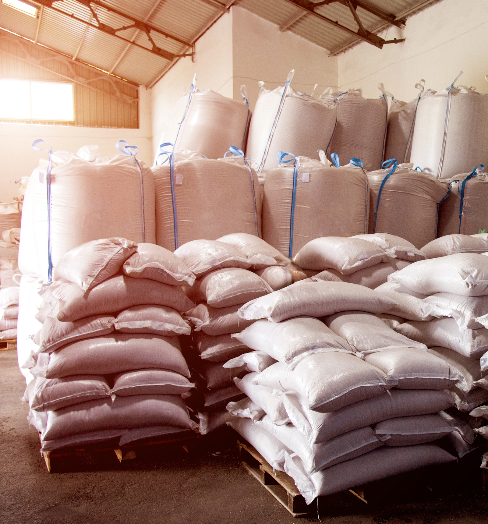 bags-of-hemp-seed-web bags and supersacks of hemp seed ready for shipping