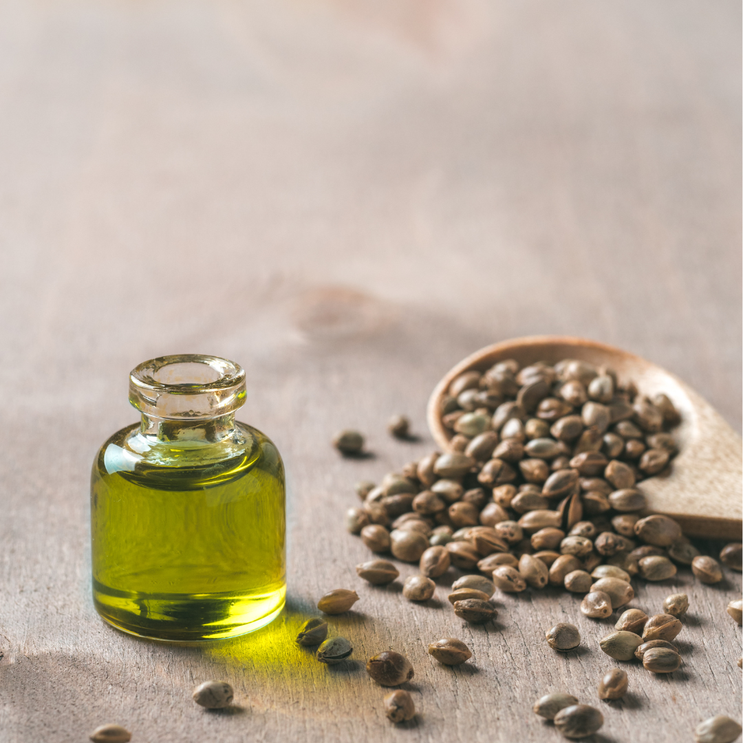 grain_oil hemp seed